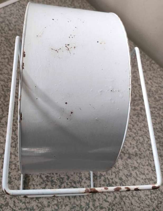 Rat Wheel