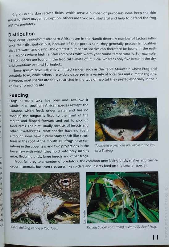 Frogs and Frogging