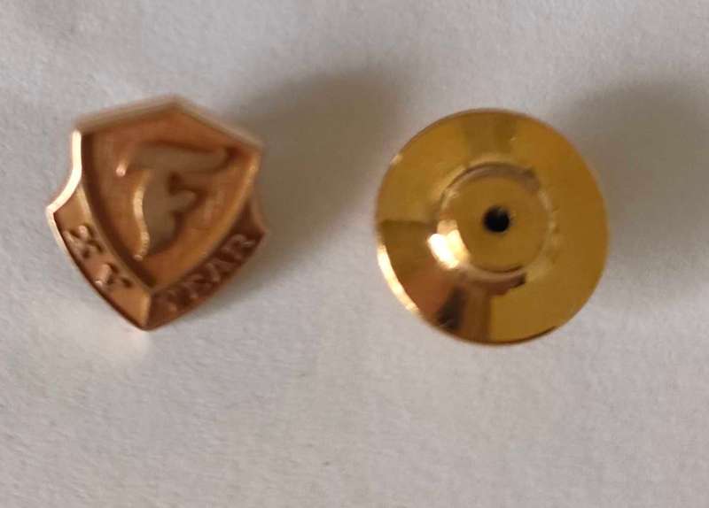 Firestone 15 year 14 k gold pin