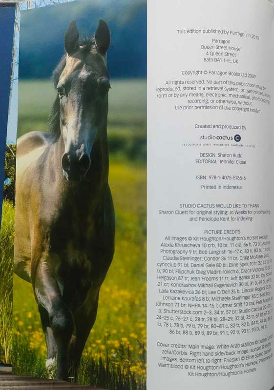 The Ultimate Guide to Horses