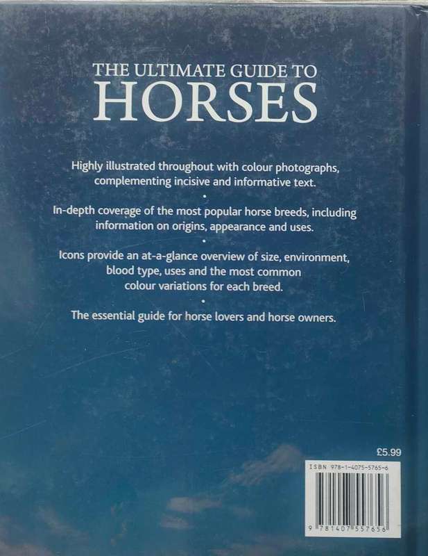 The Ultimate Guide to Horses