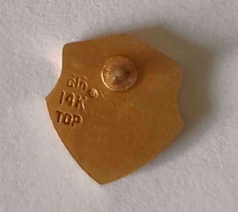 Firestone 15 year 14 k gold pin