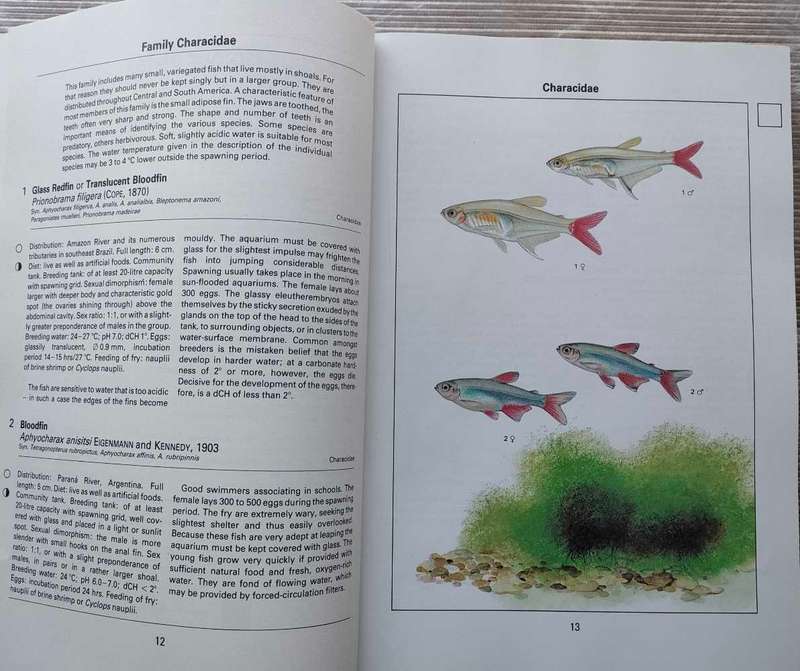 Aquarium Fish of the World