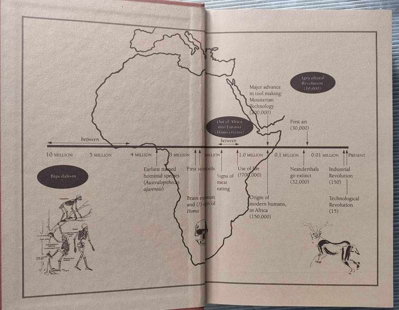 Origins Reconsidered-In Search of What Makes Us Human