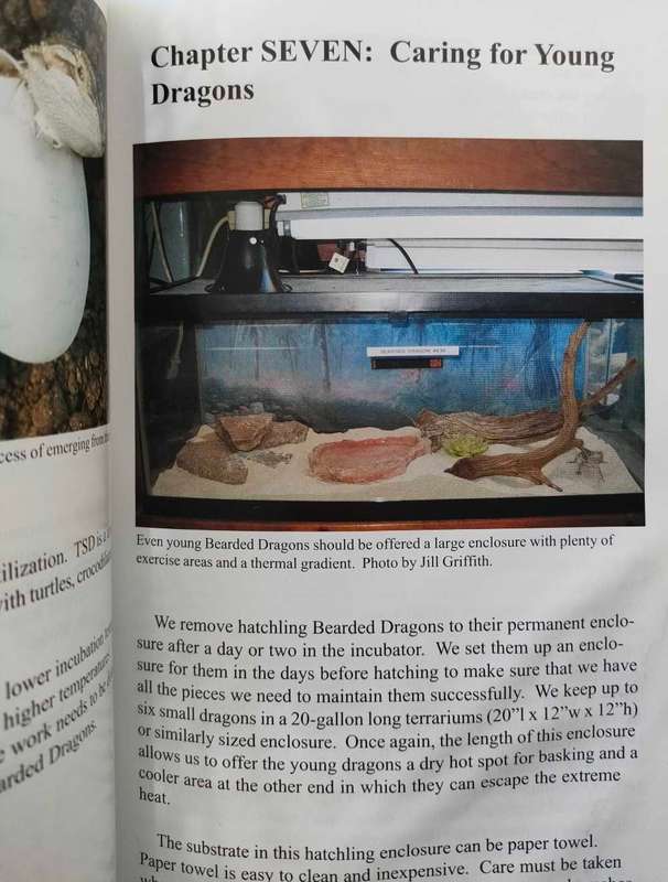 Bearded Dragons in Captivity
