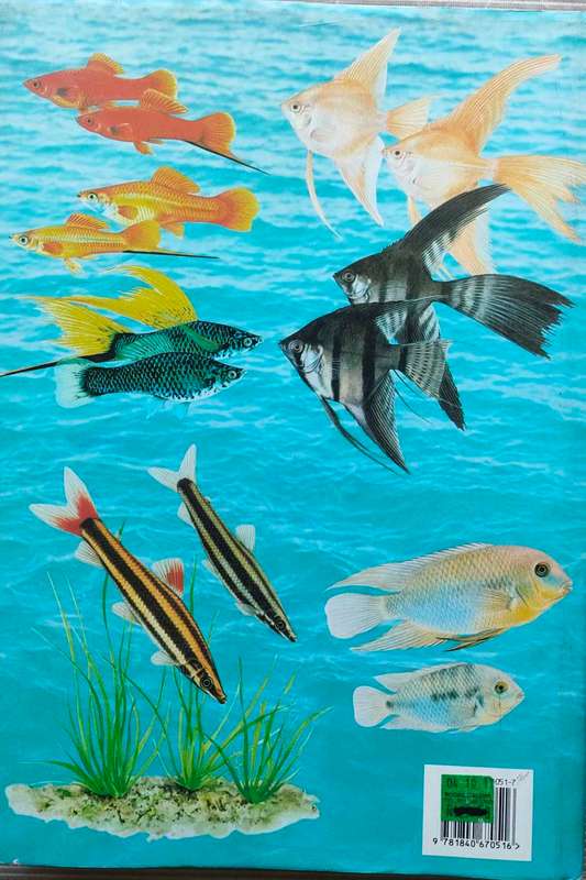 Aquarium Fish of the World