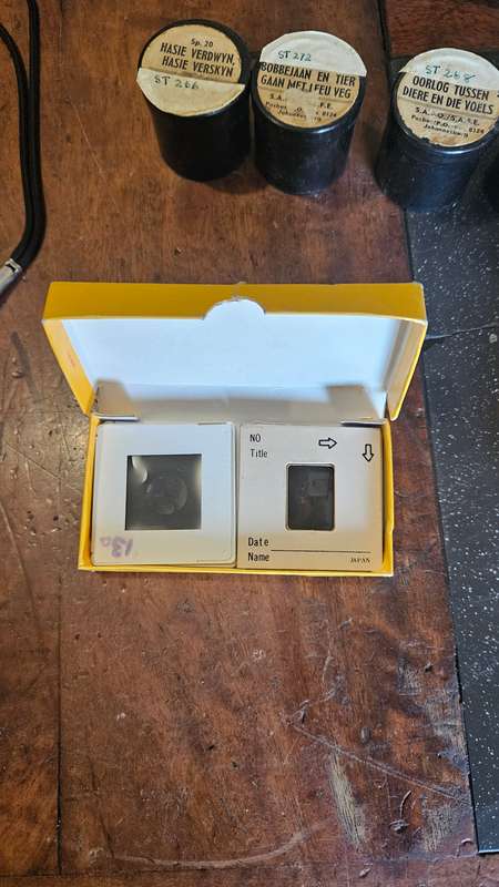 Elektagraphic Camera