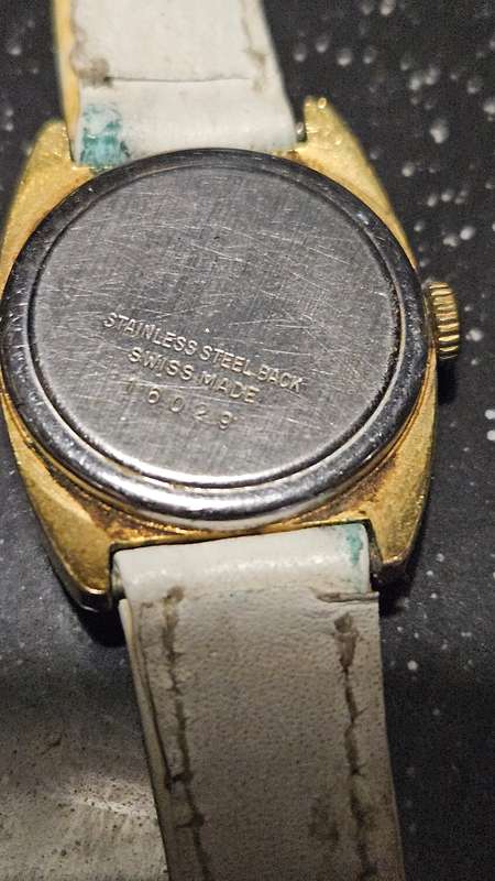 Collection of Watches
