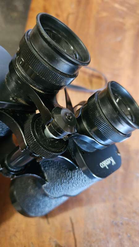 Vintage Kenko Binoculars