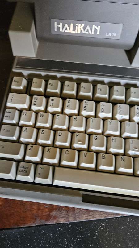 Halikan 286 Laptop