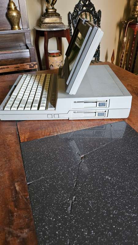 Halikan 286 Laptop