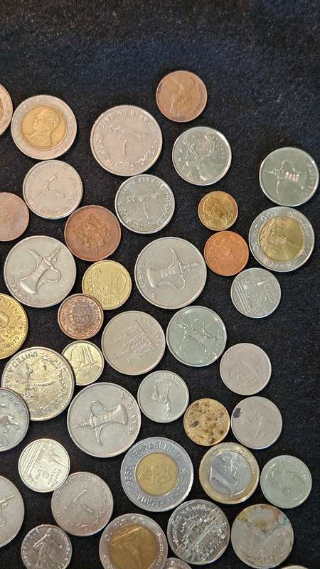 Collectable International Coins Lot