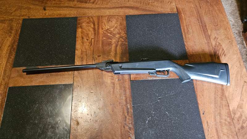 Pellet Gun