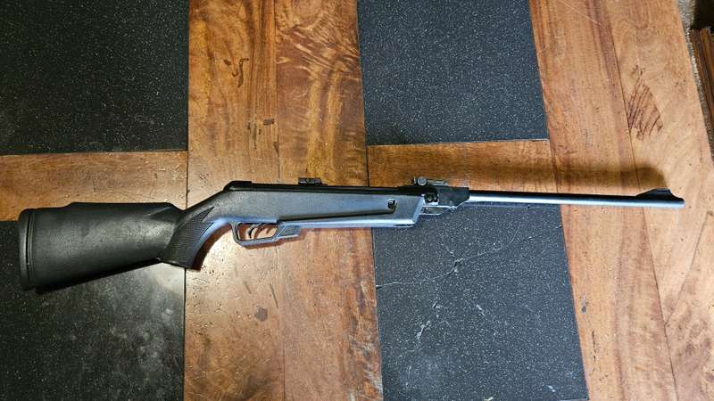 Pellet Gun