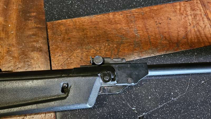 Pellet Gun