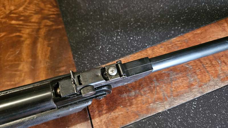 Pellet Gun