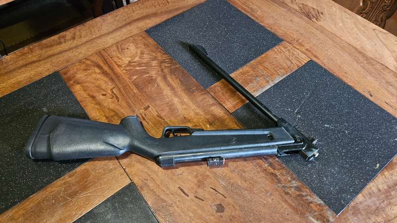 Pellet Gun