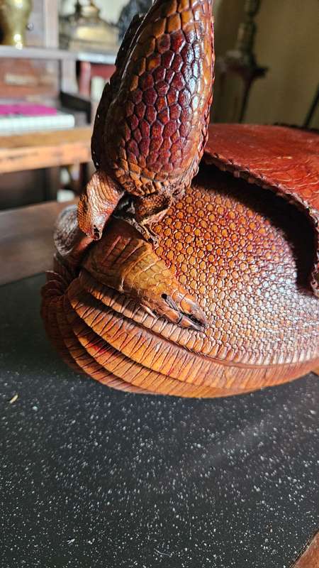 Vintage Armadillo Purse