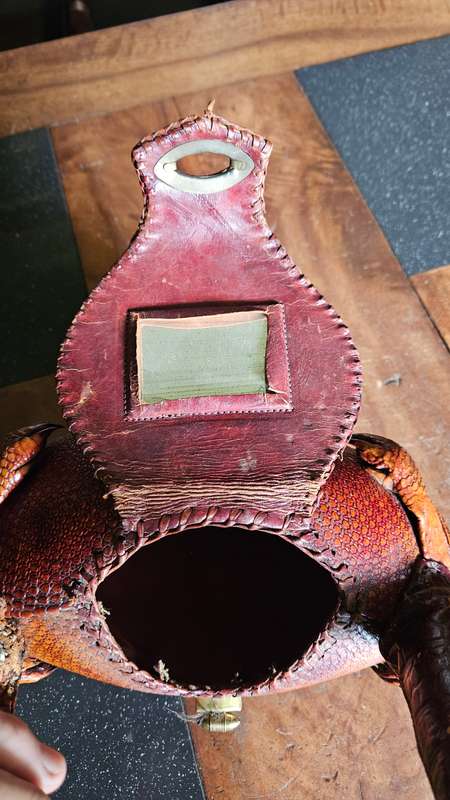 Vintage Armadillo Purse