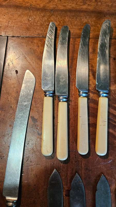 Vintage Bone Handle Knives