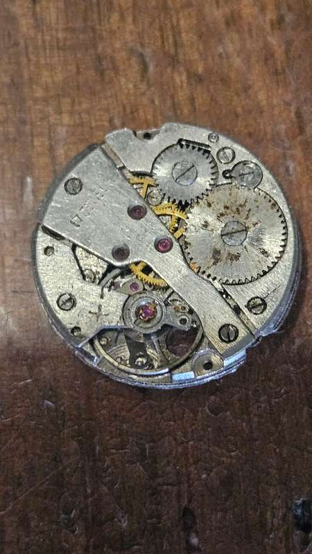 Collection of Automatic Watch Inners