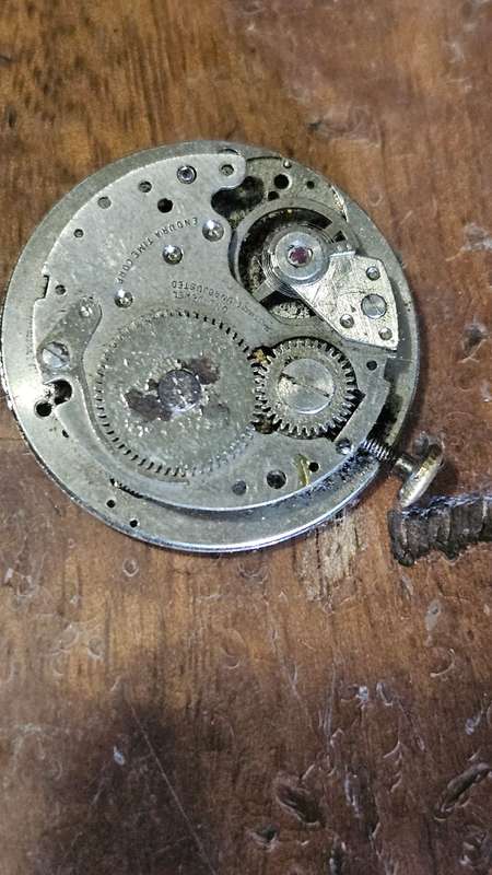 Collection of Automatic Watch Inners