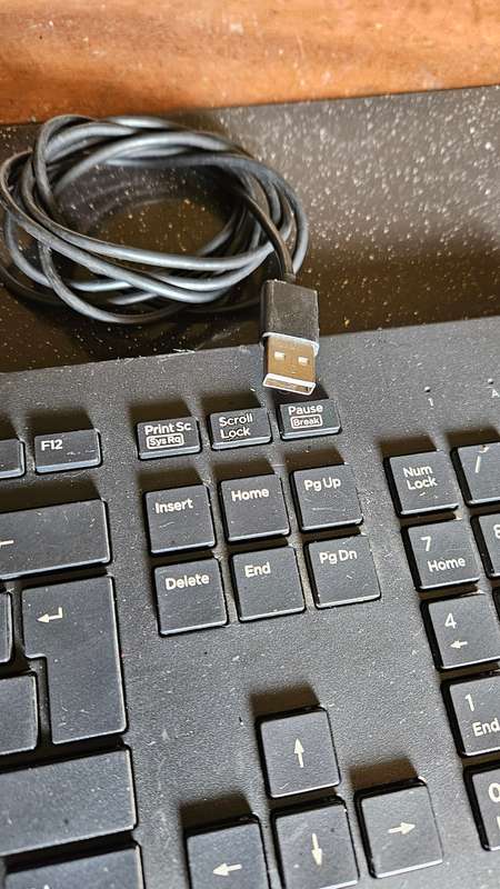 Keyboards plus Monitor