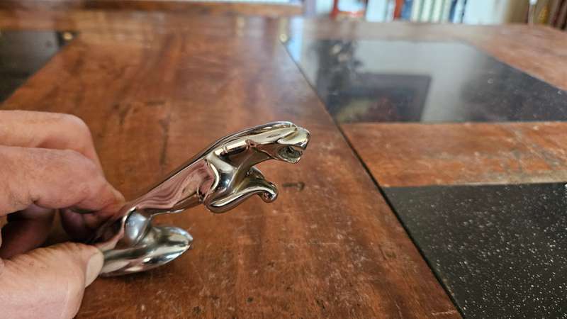 Vintage Jaquar Bonnet Emblem
