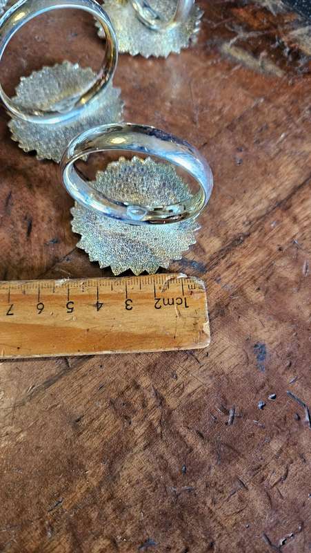 Silver Plated Napkin Rings