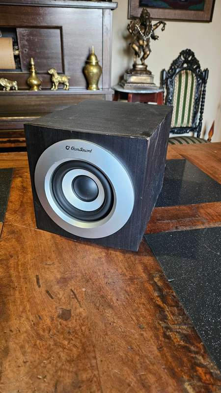 Gemsound Subwoofer