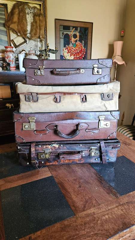 Suitcase lot