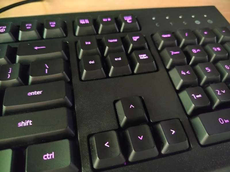 Razer Cynosa Lite | Full RGB essential gaming keyboard | In box