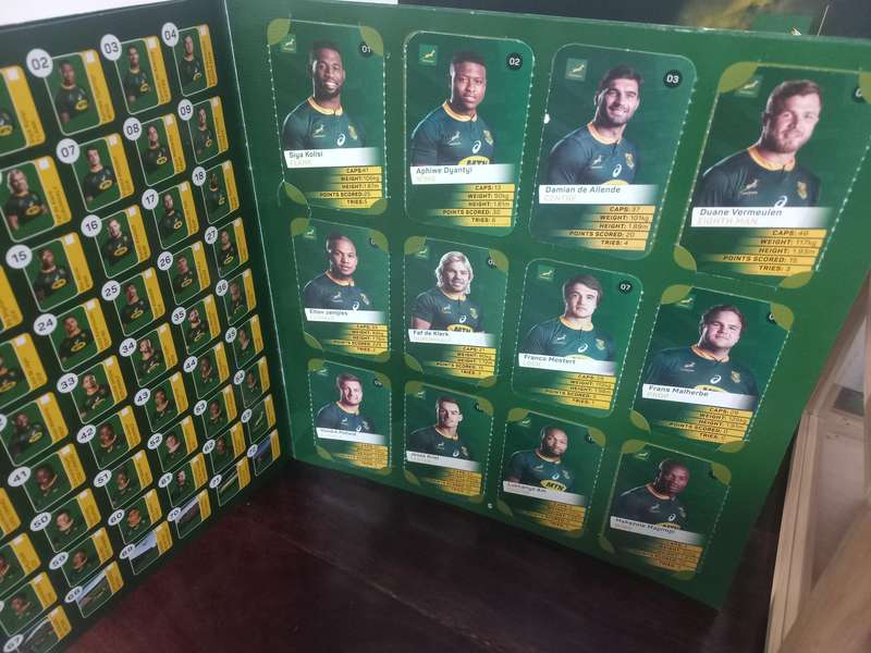 Prestine High quality Springbok Playing Cards