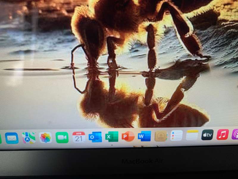 MAY MADNESS  | MacBook Air (13"  2015) + Free laptop bag + MSOffice 2019 for Mac