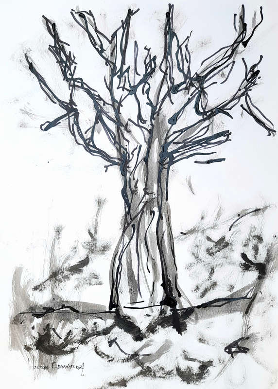 Hilton Edwards - baobab series