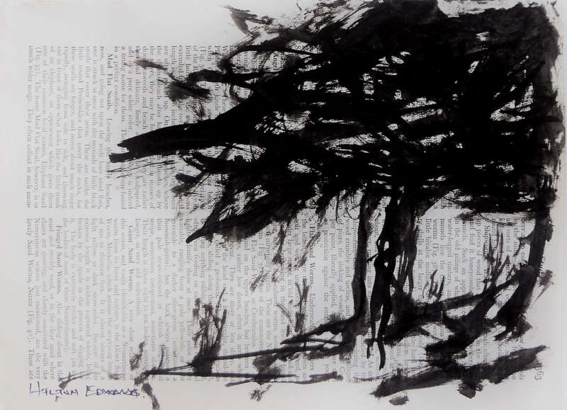 Hilton Edwards - tree series