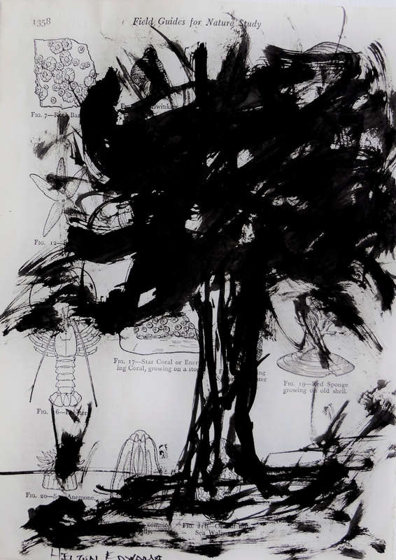 Hilton Edwards - tree series