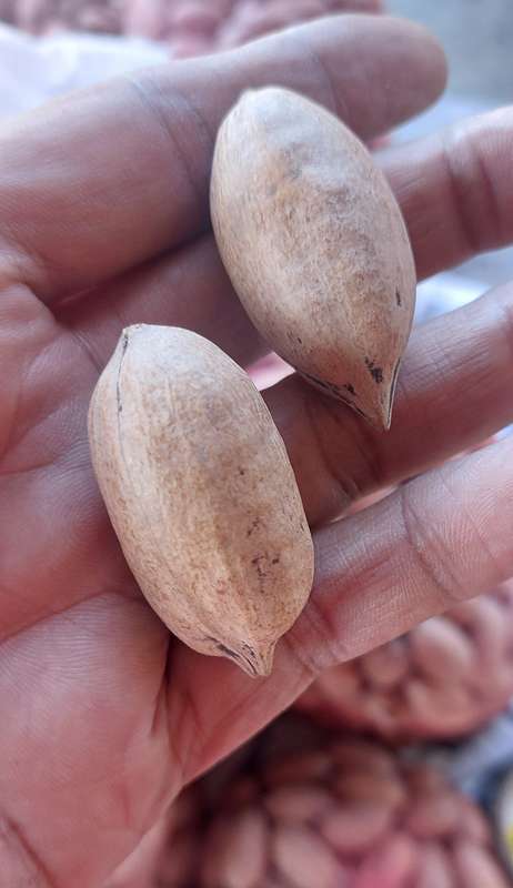 MANAGED to source more PECANS