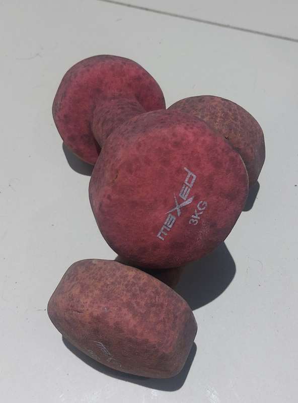 MAXED NEOPRENE 6 KG DUMBELL