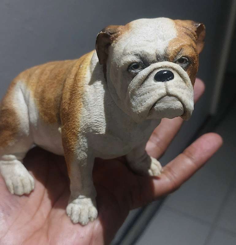 COLLECTABLE SUPER RARE SHERRATT AND SIMPSON REALISTIC RESIN  ENGLISH BULLDOG