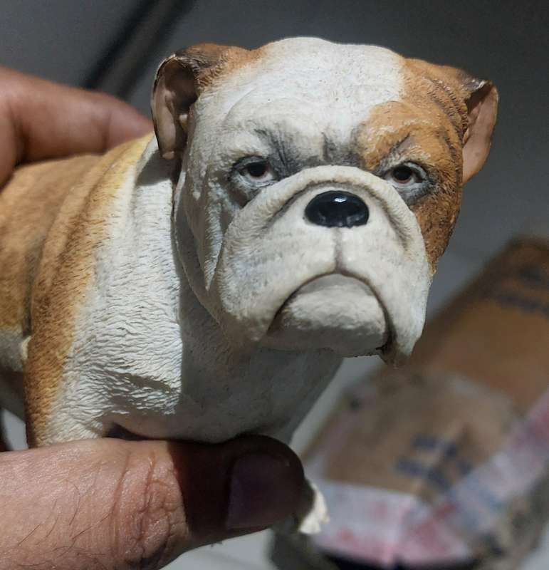 COLLECTABLE SUPER RARE SHERRATT AND SIMPSON REALISTIC RESIN  ENGLISH BULLDOG