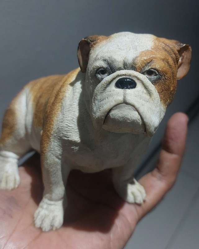 COLLECTABLE SUPER RARE SHERRATT AND SIMPSON REALISTIC RESIN  ENGLISH BULLDOG