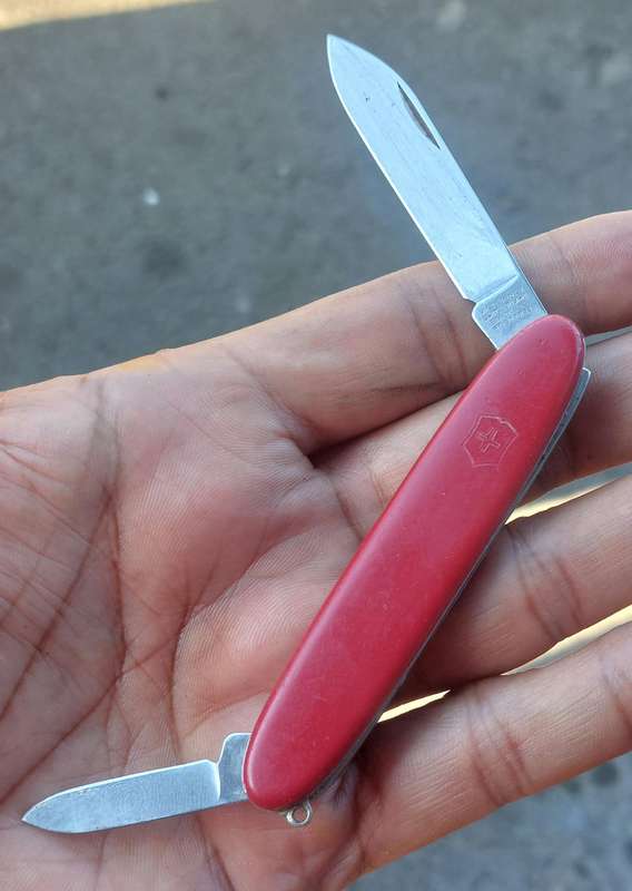vintage victoria knox knife