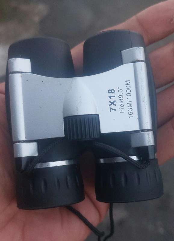 mini binoculars works like a bomb