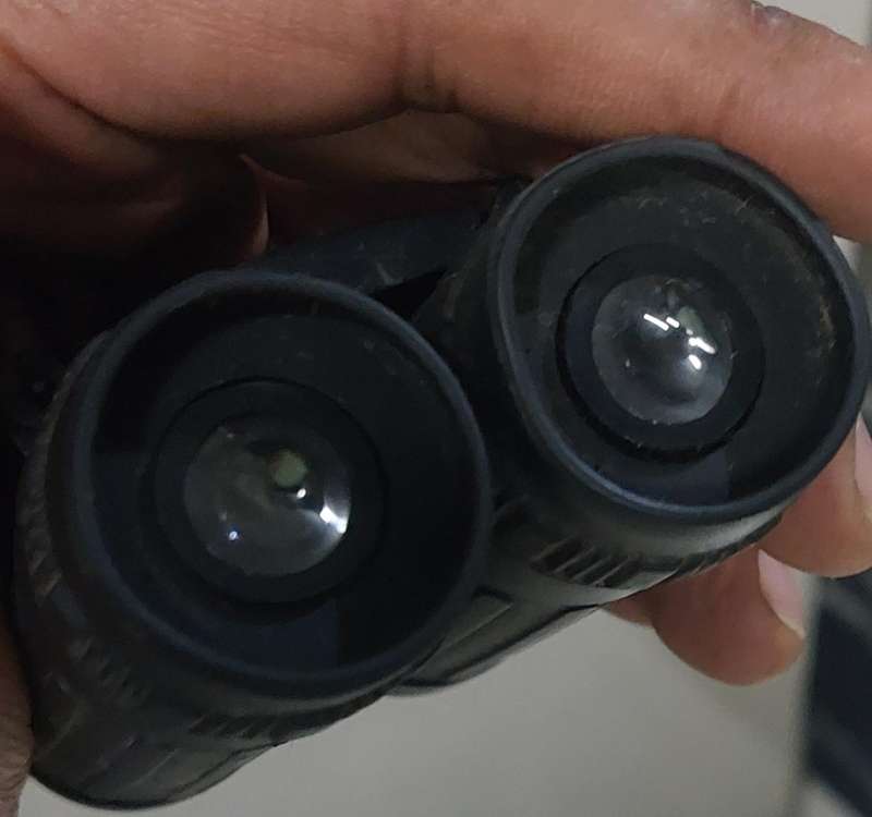 absolutely stunning binoculars