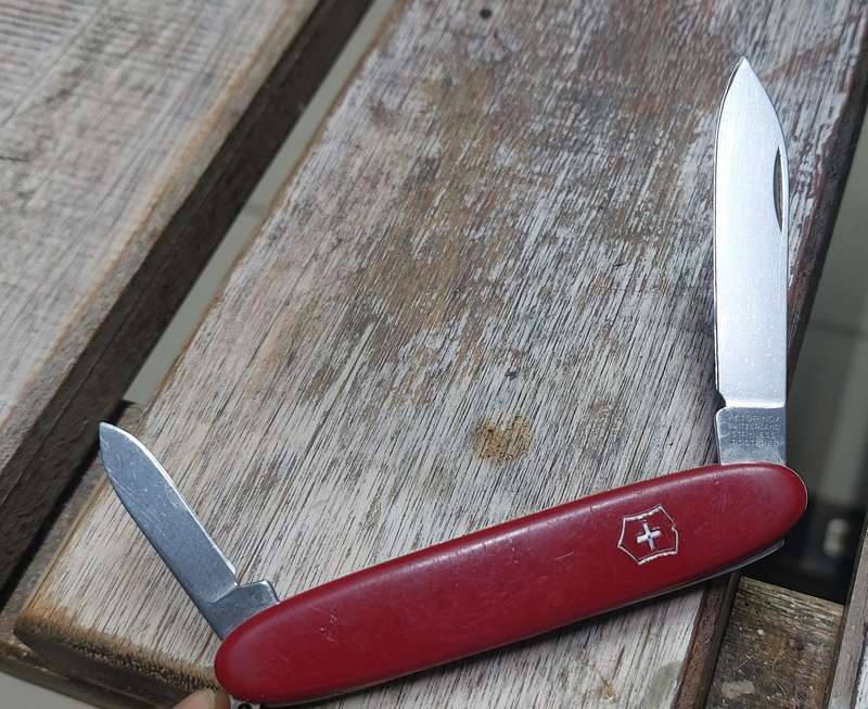 vintage awesome condition swiss army knife