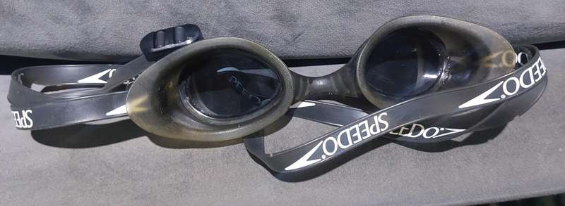 speedo swimming goggles