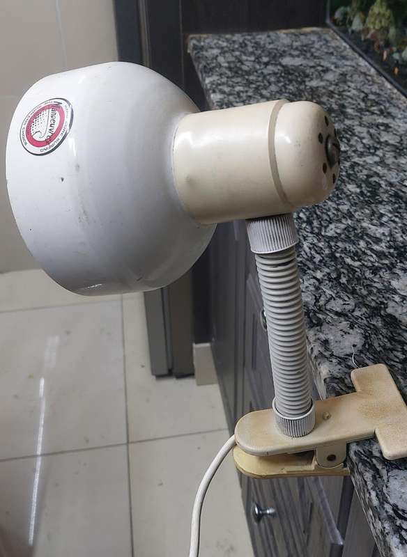 Vintage Clamp Lamp