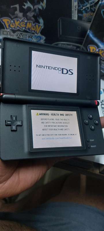 Pokemon Nintendo Ds game