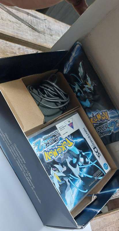 Pokemon Nintendo Ds game